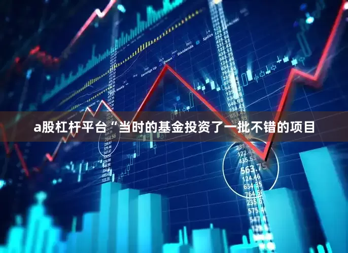 a股杠杆平台“当时的基金投资了一批不错的项目
