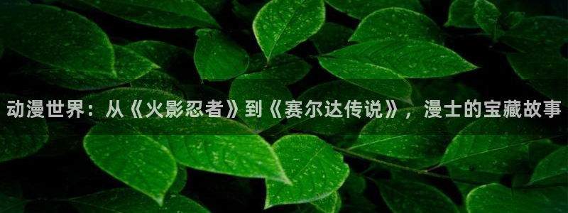 漫画本子里番：动漫世界：从《火影忍者》到《赛尔达传说》，漫士的宝藏故事