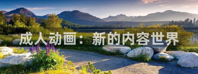 里番动漫网站在线：成人动画：新的内容世界